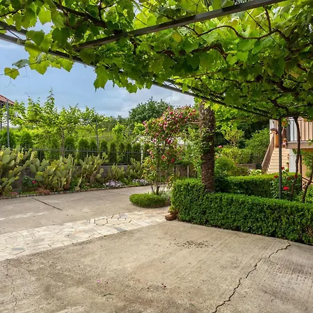 Apartment 1 Bedroom Lovely In *